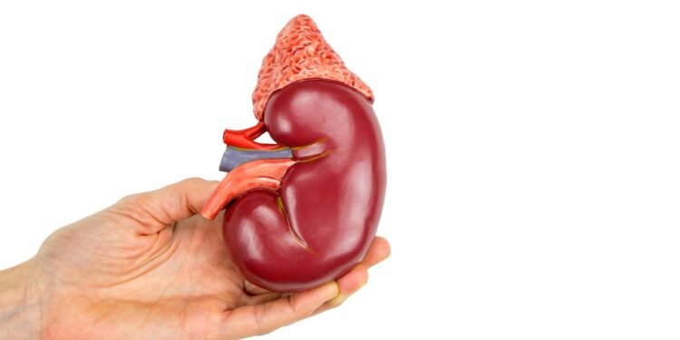 Rim - Créditos: depositphotos.com / benschonewille