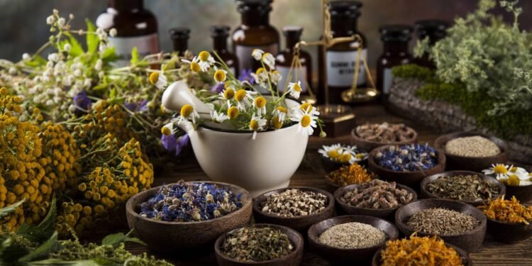 Ervas fresquinhas em casa deixam suas refeições mais saborosas e ambientes perfumados. // Créditos: depositphotos.com / JanPietruszka