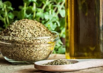 Onde colocar folhas de orégano em casa para atrair dinheiro em novembro, segundo o Feng Shui