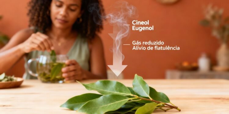 A planta que alivia inchaço abdominal e reduz o desconforto após refeições pesadas