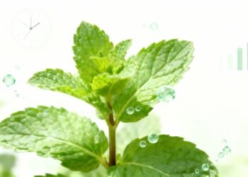 O chá que alivia inchaço e cólicas e traz conforto rápido para o estômago