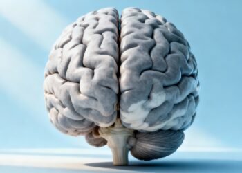 A adolescência dura até os 32 anos? Cientistas desbloqueiam as cinco eras do cérebro