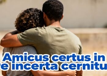 O que significa a frase "Amicus certus in re incerta cernitur" que lembra sobre amizades verdadeiras