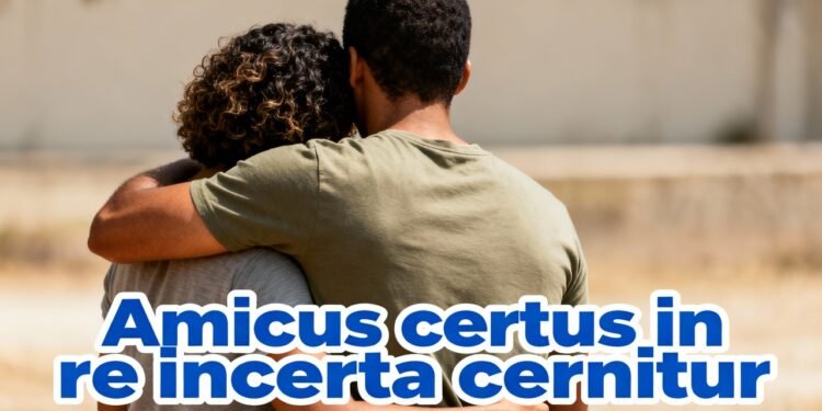 O que significa a frase "Amicus certus in re incerta cernitur" que lembra sobre amizades verdadeiras