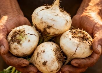 Esta raiz ajuda quem busca digestão saudável, desintoxicação e proteção celular