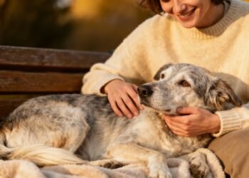 Quais os benefícios de adotar um cachorro mais velho, segundo a ciência