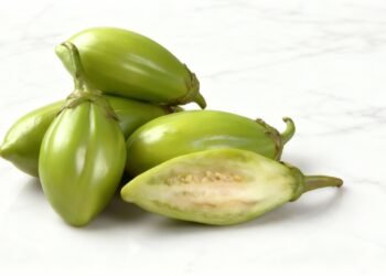 O fruto amargo que ajuda no controle do colesterol e ainda cresce fácil na sua horta