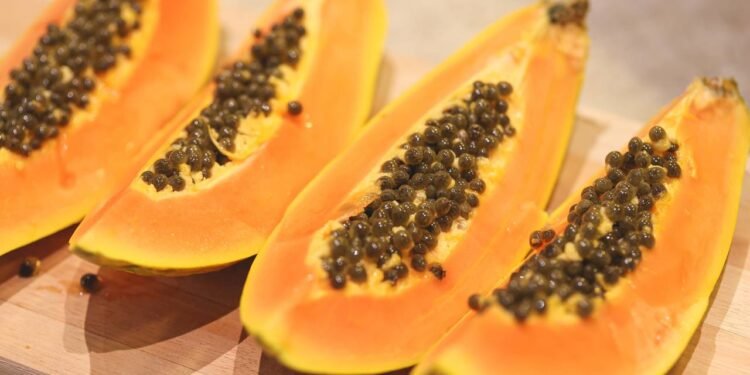 O mamão contém enzimas como a papaína e a quimopapaína, que auxiliam na quebra de proteínas e favorecem a digestão - Créditos: depositphotos.com / rmcarvalhobsb