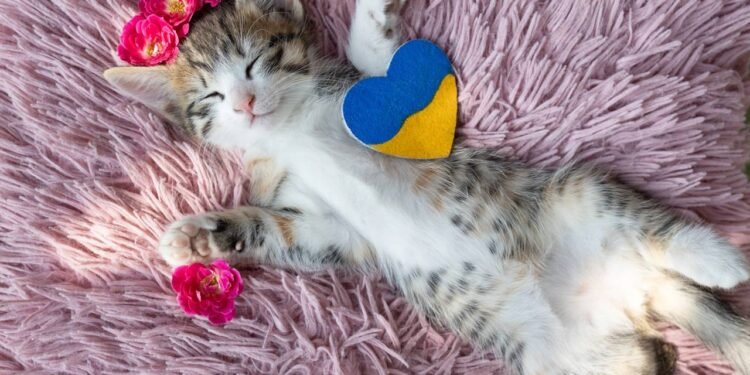 Gatos controlam pragas naturalmente, promovem bem-estar emocional prático e demandam cuidados acessíveis para saúde longa e feliz.  // Créditos: depositphotos.com / pav2@ukr.net