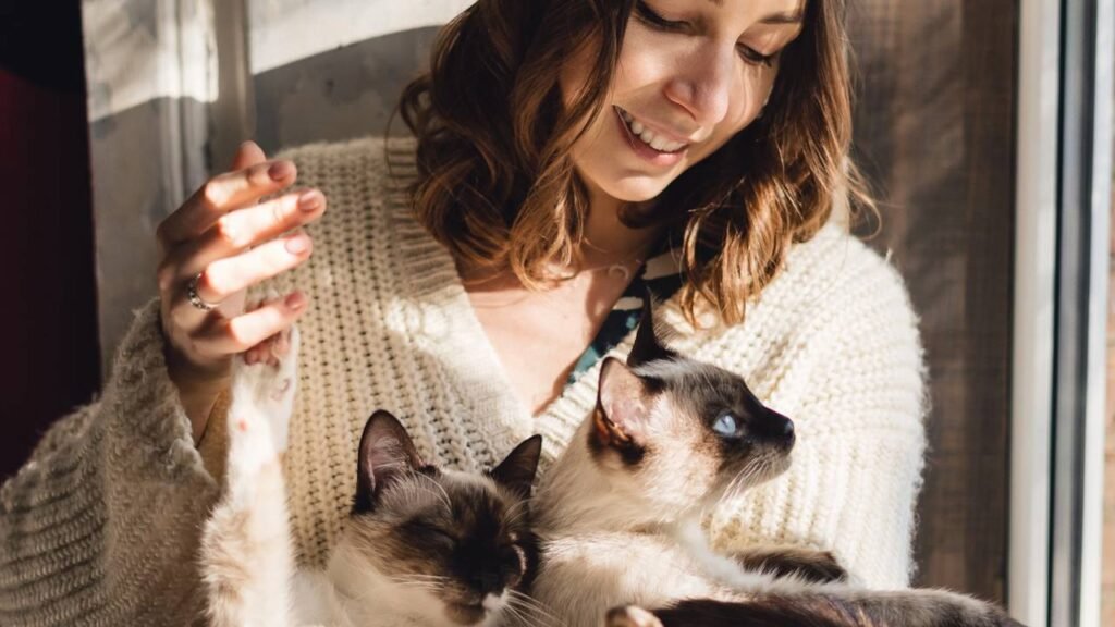 O que significa para o seu gato olhar nos seus olhos, de acordo com um treinador