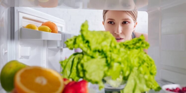Como conservar alface corretamente na geladeira e manter fresco por mais tempo