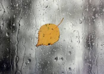 O que significa gostar mais do inverno do que do verão?