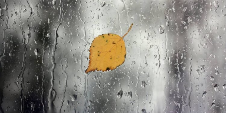 O que significa gostar mais do inverno do que do verão?