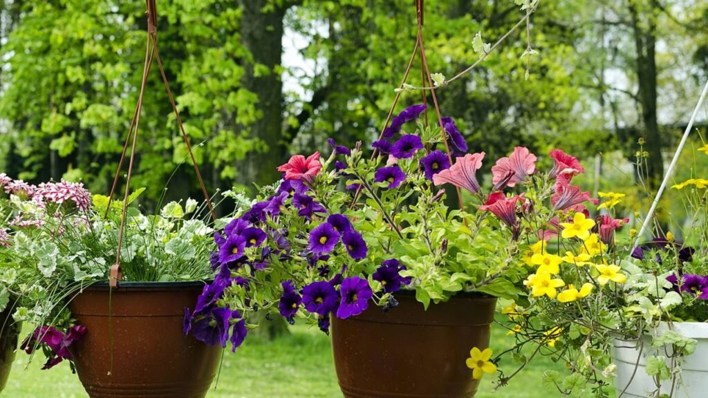 Poucos sabem por que recomendam enfiar rolhas de vinho no jardim das casas e para que serve