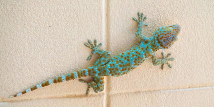 Valorizar a sinonímia entre harmonia doméstica e respeito à natureza - Créditos: depositphotos.com / TaraPatta