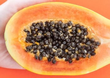 Quantas sementes de mamão comer para “regenerar” o fígado e como plantar a fruta em casa?