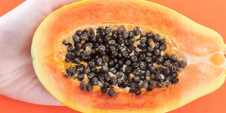 Quantas sementes de mamão comer para “regenerar” o fígado e como plantar a fruta em casa?