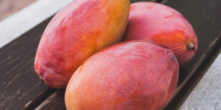 Os compostos fenólicos, carotenoides e a vitamina C da manga conferem-lhe potente atividade antioxidante - Créditos: depositphotos.com / ViktoriiaDyachenko