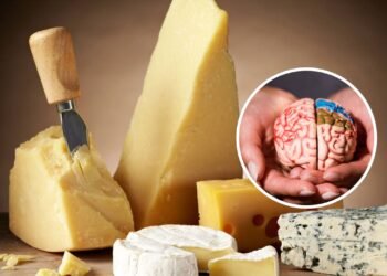 Comer queijo uma vez por semana pode diminuir o risco de demência, sugere estudo