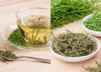 A erva que vai limpar o corpo e fortalecer o organismo segundo a medicina