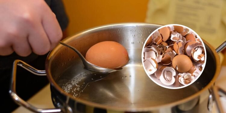 O truque para descascar ovos cozidos sem quebrá-los