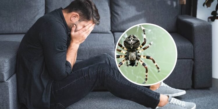 8 medos e fobias mais comuns em adultos