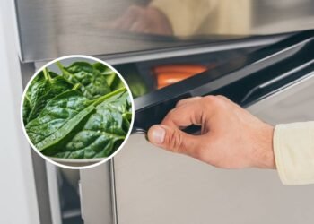 Não guarde espinafre na geladeira antes de fazer esta verificação rápida