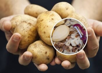 O truque sem esforço que facilita para descascar batatas diariamente