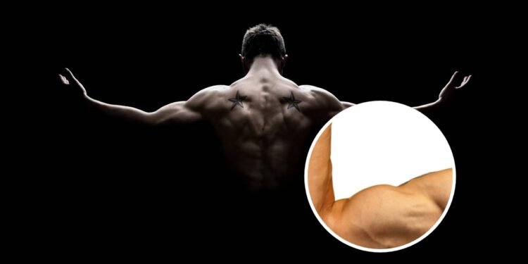 O melhor treino para ganhar força e proteger o corpo a longo prazo