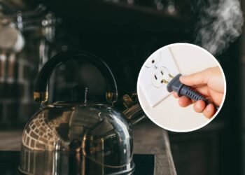 Poucos sabem o aparelho que você tem que desconectar da tomada depois de usá-lo