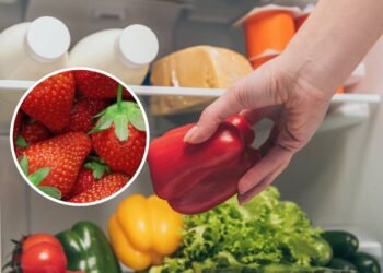 O truque infalível para manter os morangos frescos por mais tempo