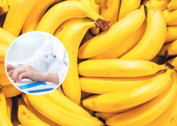 As bananas são boas para você? Esses são os prós e contras