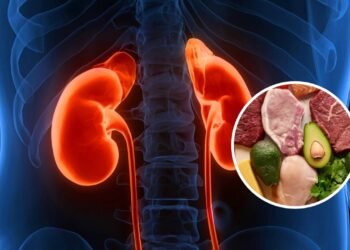 3 alimentos para consumo diário que afetam os rins e poucos sabem disso