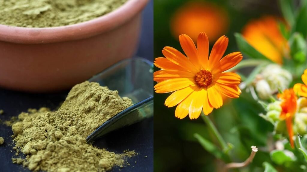 Quatro plantas para passar no cabelo que servem como corante natural e não danificam