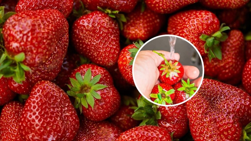 O truque infalível para manter os morangos frescos por mais tempo