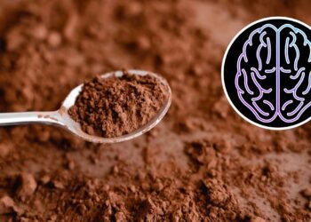 O alimento muito conhecido que ajuda seu cérebro a envelhecer mais devagar