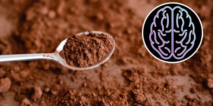 O alimento muito conhecido que ajuda seu cérebro a envelhecer mais devagar