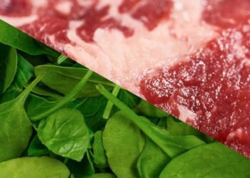 Quatro alimentos ricos em ferro que seu corpo absorve e melhora sua saúdeQuatro alimentos ricos em ferro que são bem absorvidos e contribuem para a saúde geral