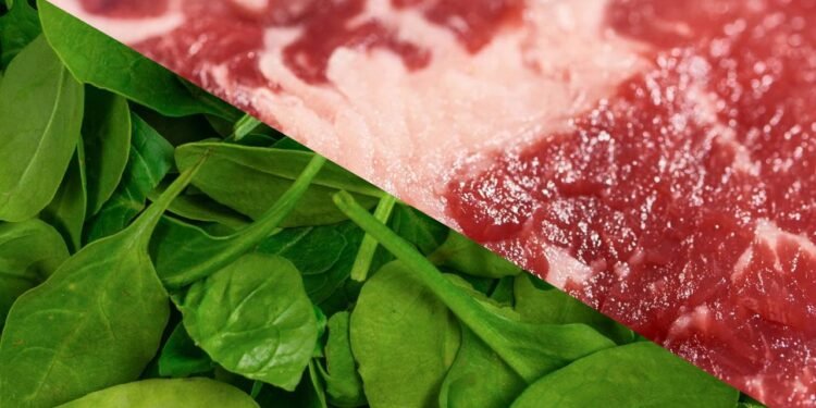 Quatro alimentos ricos em ferro que seu corpo absorve e melhora sua saúdeQuatro alimentos ricos em ferro que são bem absorvidos e contribuem para a saúde geral