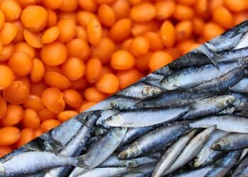 Três alimentos melhores que o peito de frango que têm muita proteína e podem ser mais nutritivos