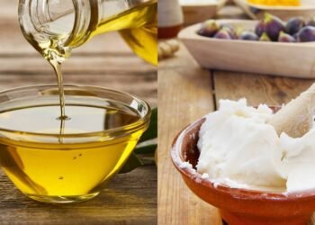 Entre azeite e banha de porco, qual você deve escolher para fazer seus alimentos?