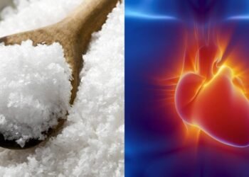 O que acontece com o coração quando você consome sal em excesso