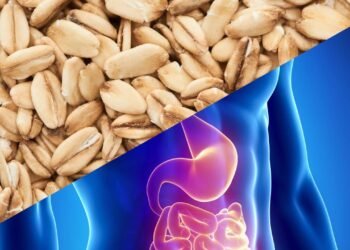 O alimento barato que fortalece o intestino e melhora a absorção de nutrientes