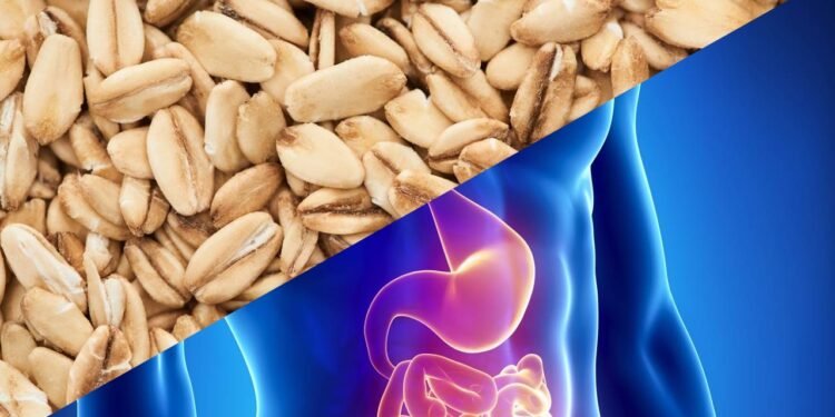 O alimento barato que fortalece o intestino e melhora a absorção de nutrientes