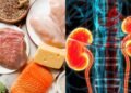 Como o excesso de proteína pode afetar o funcionamento dos rins?
