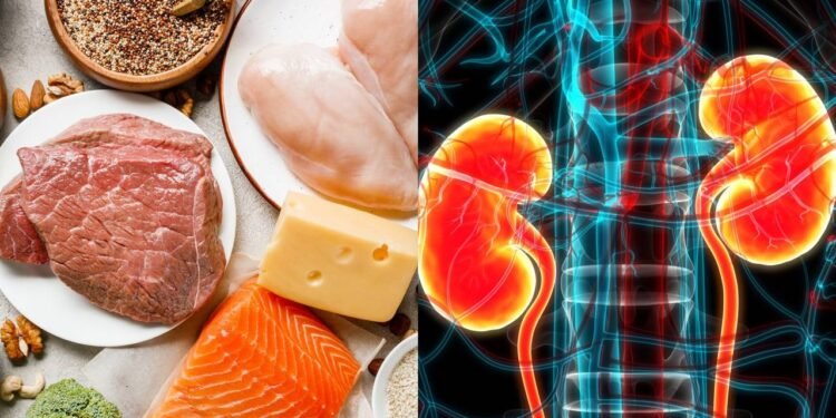 Como o excesso de proteína pode afetar o funcionamento dos rins?