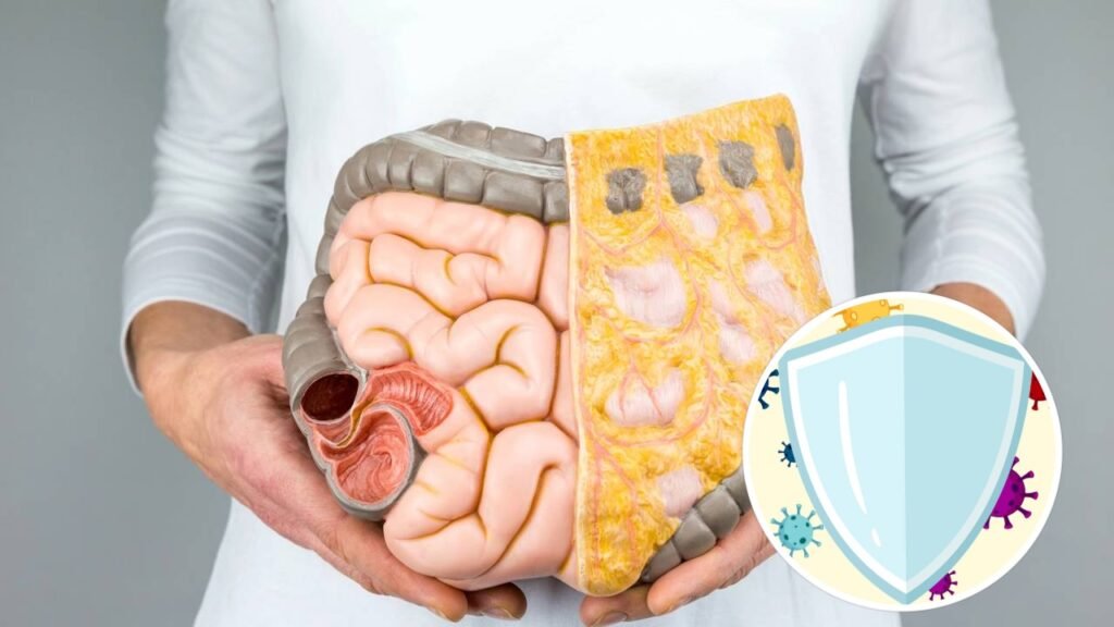 Como essa função do seu corpo pode estar afetando sua imunidade