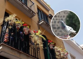 Poucos sabem qual a finalidade de pendurar garrafas plásticas na varanda