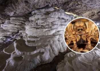 Esta é a maior caverna do mundo e possui mais de 111 mil aracnídeos subterrâneos