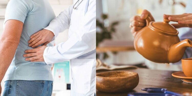 O chá de quebra-pedra é tradicionalmente utilizado como coadjuvante no tratamento de litíase renal - Créditos: depositphotos.com / serezniy / Créditos: depositphotos.com / VitalikRadko